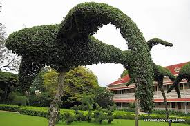 Hua Hin Tour & High Tea